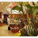 호텔엘리제 이미지