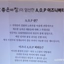 좋은아침롯데미아