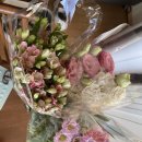 세복농장 | 농라 생화 구매 @ 세복농원