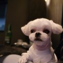 옹심이네살롱 이미지