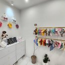 바이올독 푸드 이미지