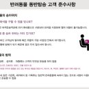 타요타요 펫택시 이미지