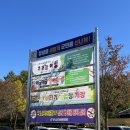 우포늪 생태체험장 화장실 | 창녕 | 우포늪생태체험장 쪽배타기 체험후기
