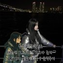 바다야또놀자 | 바다 한가운데서 본 불꽃, 부산 야경명소 해운대 ❝요트야 놀자❞에서 찐 감성 폭발 솔직후기