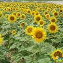 송정동 희망공원 뉴시스