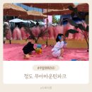 취사가능한 대구근교 복합놀이이공간 청도 무아마운틴파크 가을시즌 방문후기