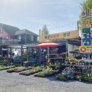 혜성펜션 이미지