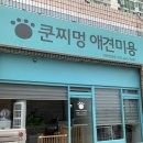 쿤찌멍 애견미용 이미지