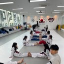 국가대표 라이언 태권도장 이미지