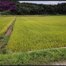 웅양면 오산경로당 이미지