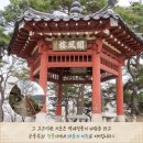 노바블룸디자인 이미지