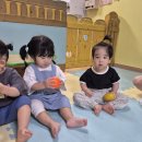 포레스트 뮤직- 커다란 순무🫜 이미지