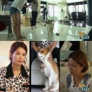 개밥주는 남자 이미지