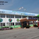 팔덕면사무소 이미지