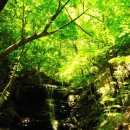 치산주유소 이미지