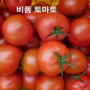 GAP인증 유럽종 완숙토마토 비품 정품 판매합니다.. 이미지