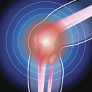 금남시장뒤 이미지