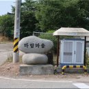삼거동 고인돌군 이미지