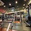 국가대표 송기석 퍼스널트레이닝 이미지