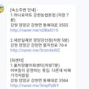 속초애견동반펜션 양양재인스가든 이미지