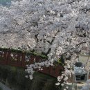 진해여자고등학교 이미지