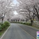 선리농장 이미지