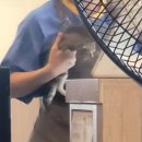 이화수육개장 증평점 이미지