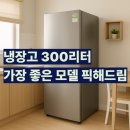 러빙모텔 | 냉장고 300리터 삼성 RT31CG5624S9 후기 사이즈 딱 좋아