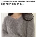 3D모델링하는 친구가 있어서 복슬복슬 의상 가능한지 물어봄 이미지