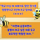 태리농장 이미지