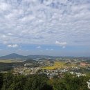 대동카써비스 이미지