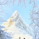 한라산 티스토리
