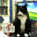 위즈동물병원 이미지