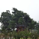 능뜰공원 이미지