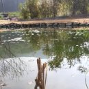 홍의인농장 이미지