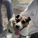 대풍엘피지가스 이미지