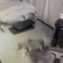 향기롭개 이미지