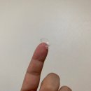 이노티안경.중앙콘택트렌즈(포스코점) | 전주안경 가격저렴한안경원 이노티안경 강력추천