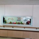 광양시공립노인전문요양병원 | 노인병원 수족관 설치, 벽걸이 수족관