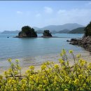 남석농장 이미지