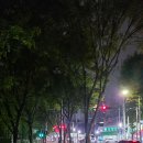 땅땅치킨(고산점)