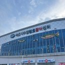 우성애견 | 속초여행 청호활어회센터 우성수산 인어교주해적단 회 가성비 내돈내산후기 애견동반가능
