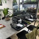 적하 | 부천 이색놀거리 공방 테라리움 원데이클래스 부천 &#34;식물가게 장식&#34; 후기