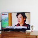 시골농장건강원