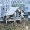 새한그레인 | 기호성 좋은 베르디캣 퓨어트릿 닭가슴살 키위키친 습식캔