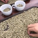 라떼아트 취미반 & 커피 바리스타 2급 자격증반 이미지