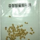 검정방울토마토 씨앗나눔드려요 이미지