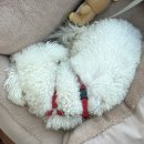 이강농장 이미지