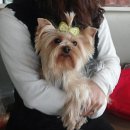 이삐네PC 이미지