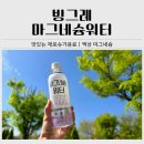 빙그레사 | 무설탕 제로음료 추천｜빙그레 건강티에프티 마그네슘워터 후기